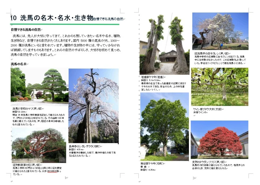 本文サンプル