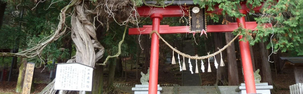 歴史