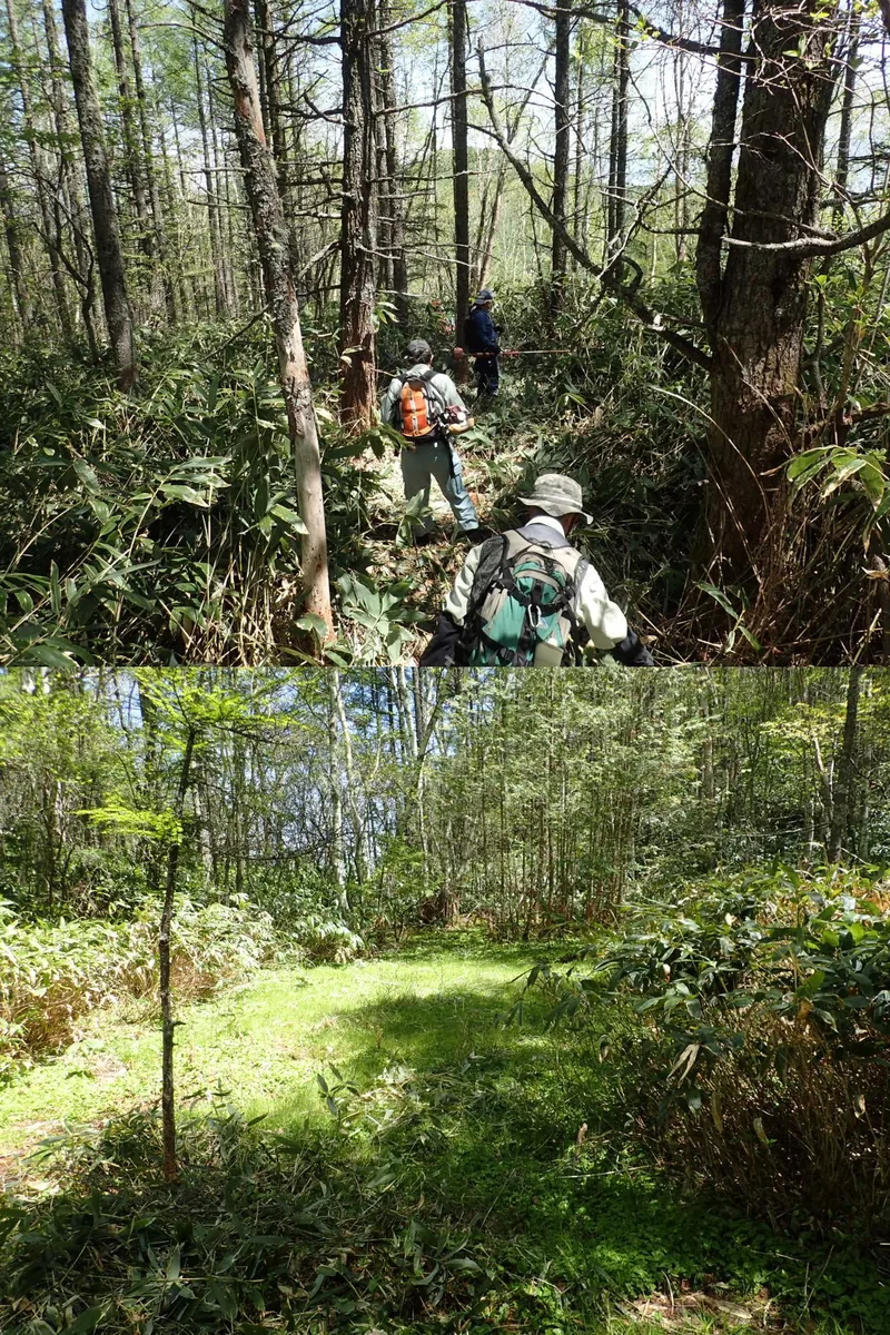 上：難航した「古池」探索　／　下：27年ぶりに確認した「古池」