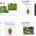 洗馬の自然学習会開かれる