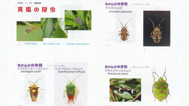 洗馬の自然学習会開かれる